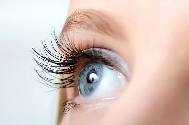 Close-up of long eyelashes and an eye